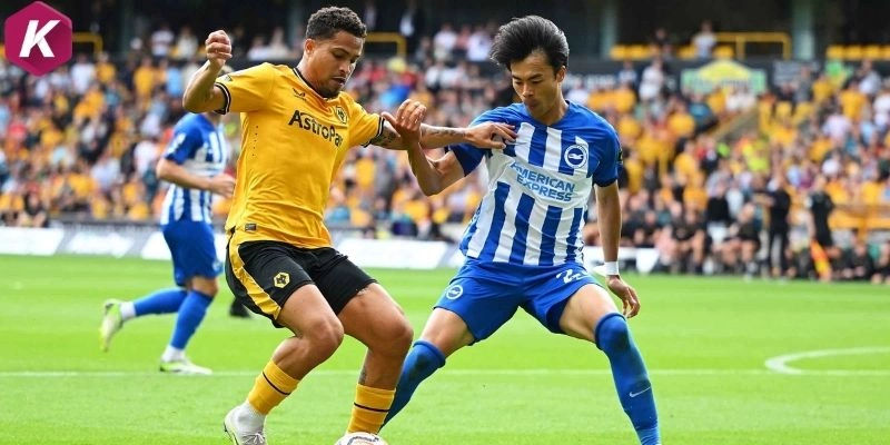 Cập nhật thông tin phong độ Brighton vs Wolves